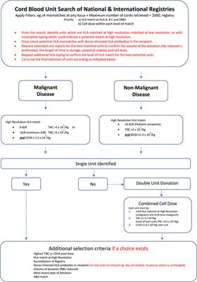 Strategies for Success With Umbilical Cord Haematopoietic Stem Cell Transplantation in Children With Malignant and Non-Malignant Disease Indications